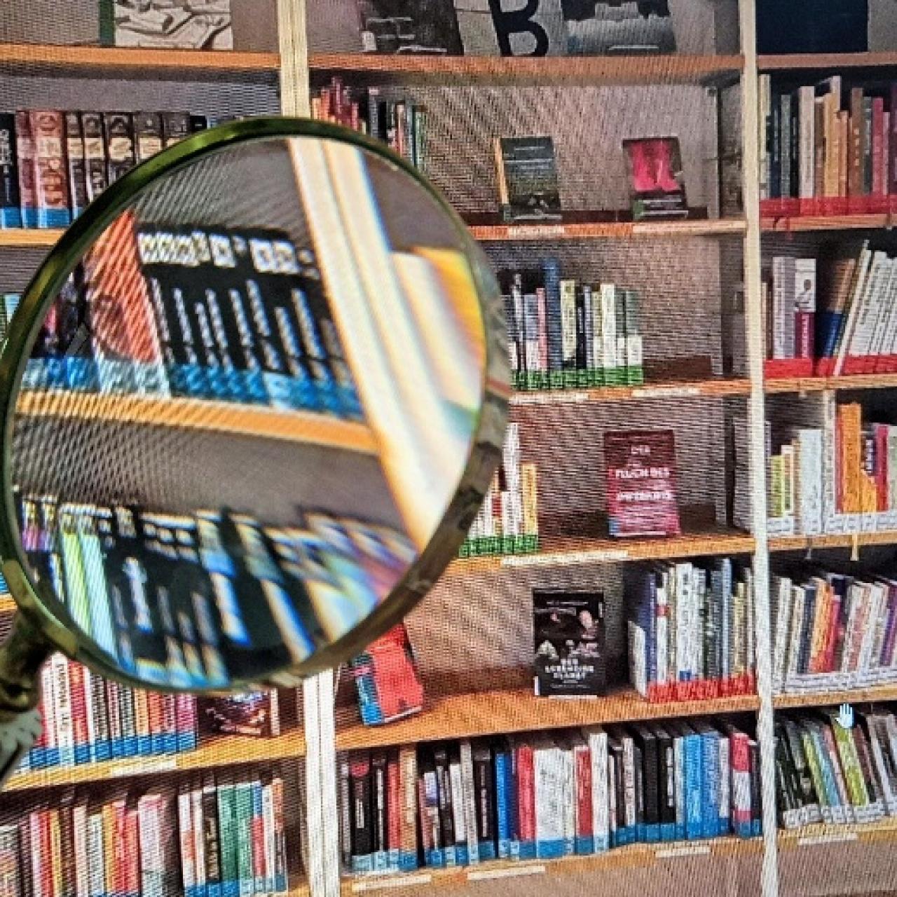 Bibliothek unter der Lupe